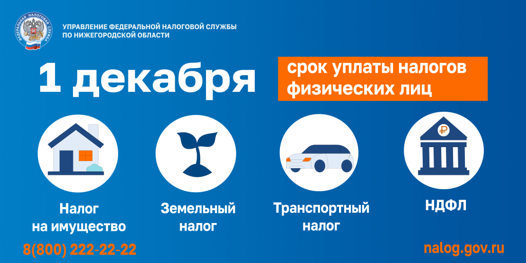 Налоги Налоги