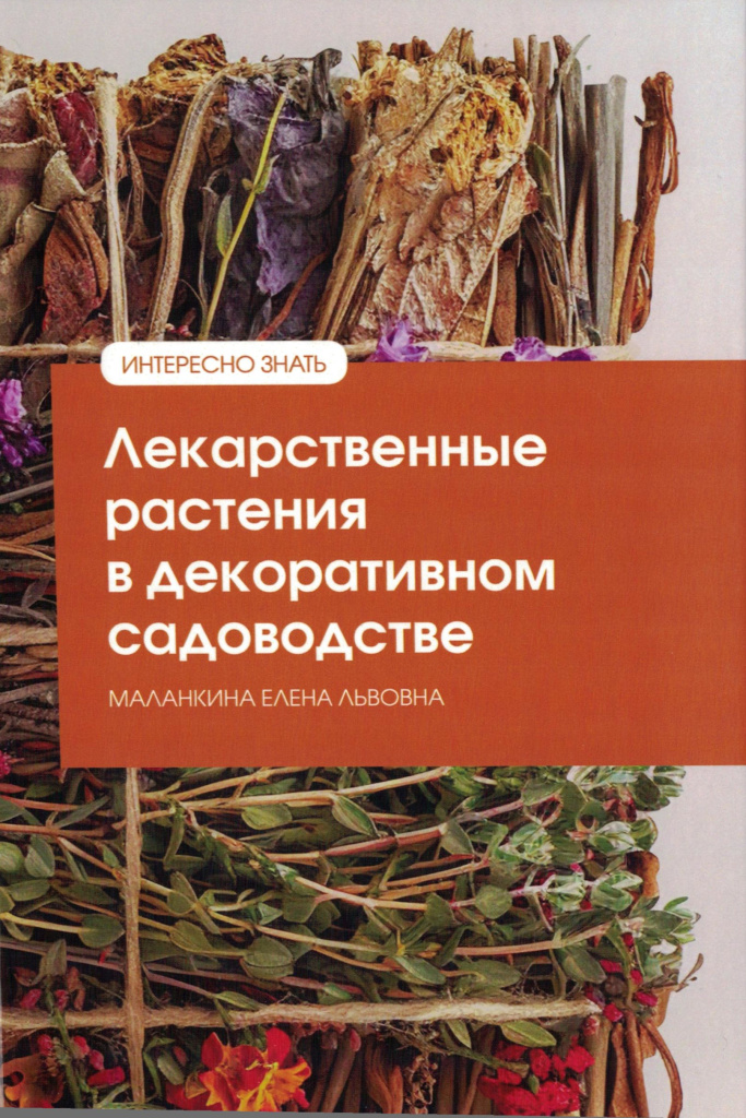 Лекарственные растения в декаративном садоводстве