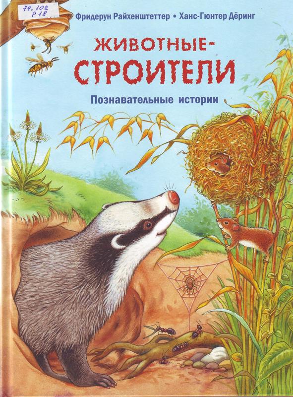Животные -строители Животные -строители